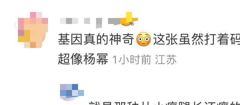 刘恺威携女儿游加拿大!9岁小糯米惊艳似杨幂,穿百元鞋长腿吸睛(图5) 刘恺威携女儿游加拿大!9岁小糯米惊艳似杨幂,穿百元鞋长腿吸睛(图5)