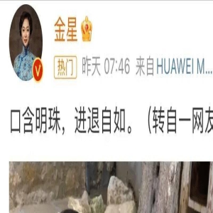 金星发文“口含明珠进退自如”，被指内涵董明珠，评论区骂声一片