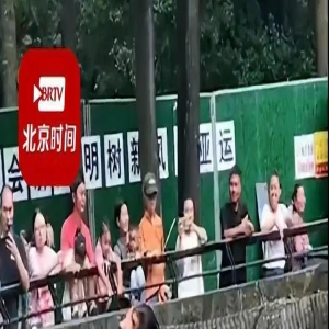 这黑熊是人扮演的？动物园回应