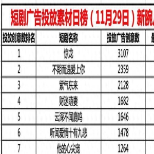 29日短剧投流日榜TOP20:财迷萌妻位居第四