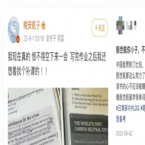 一身黑料的“审丑网红”,咋突然逆袭成了人生赢家