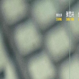 张艺兴金晨新片改名《孤注一掷》 宁浩申奥二搭