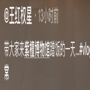 网红王红权星已打入上流社会！陈丽华特地邀请，曝店面租金达千万