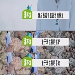 为什么总有人一边被她的美震撼，一边忍不住疯狂伤害她？